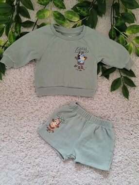 Baby Boy Sage Green Bluey Outfit (3-6 Months)